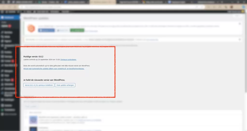 technisch onderhoud website update van de plugins