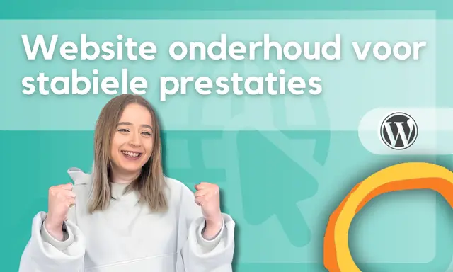 website onderhoud stabiele prestaties nicola lamer