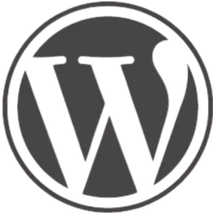 wordpress website laten maken