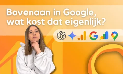 wat kost het om bovenaan google te staan nicola lamer