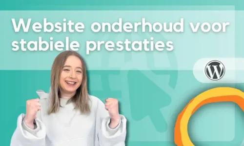 website onderhoud stabiele prestaties nicola lamer